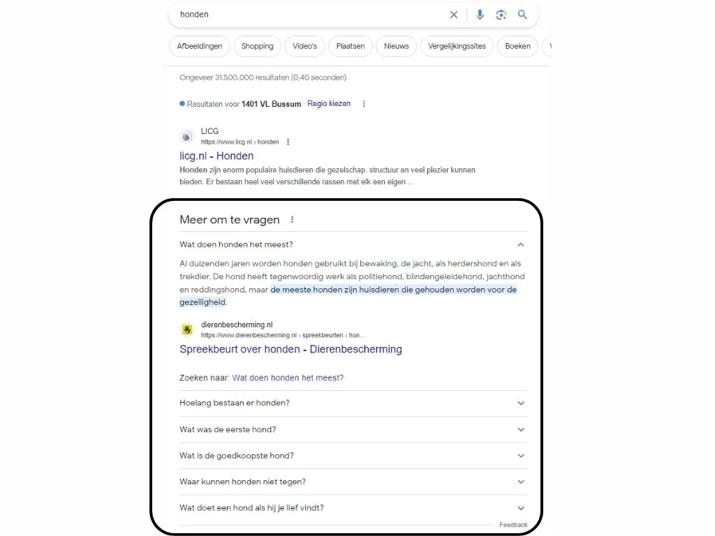 google-search-console-veelgestelde-vragen-in-zoekresultaten