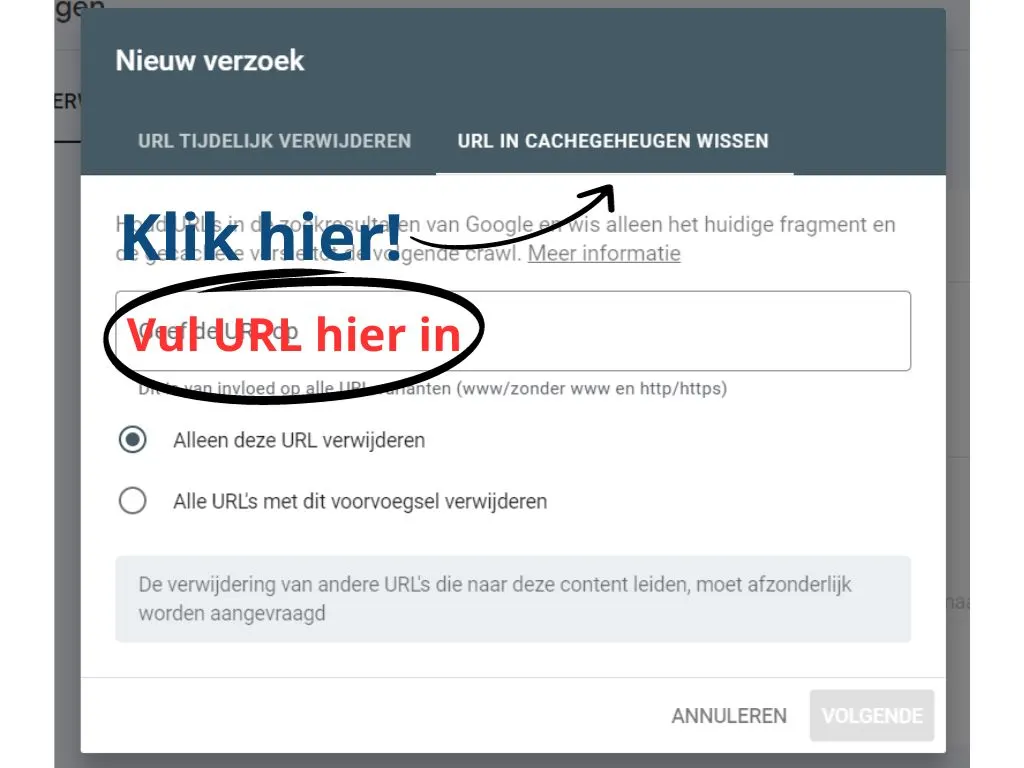 google-search-console-verwijdering-url-cachegeheugen-wissen