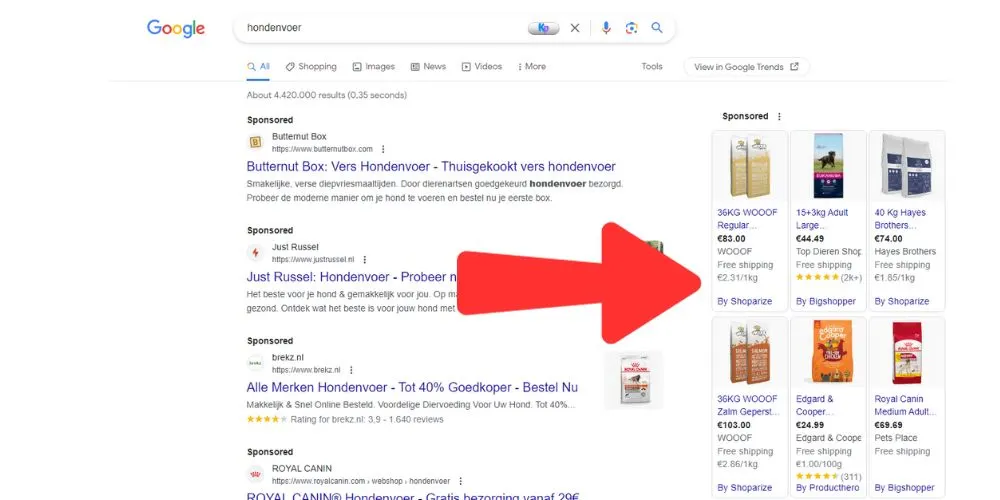 voorbeeld-shopping-advertenties-rechts