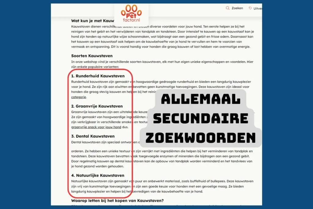 voorbeeld-correcte-h2-h3-koppen